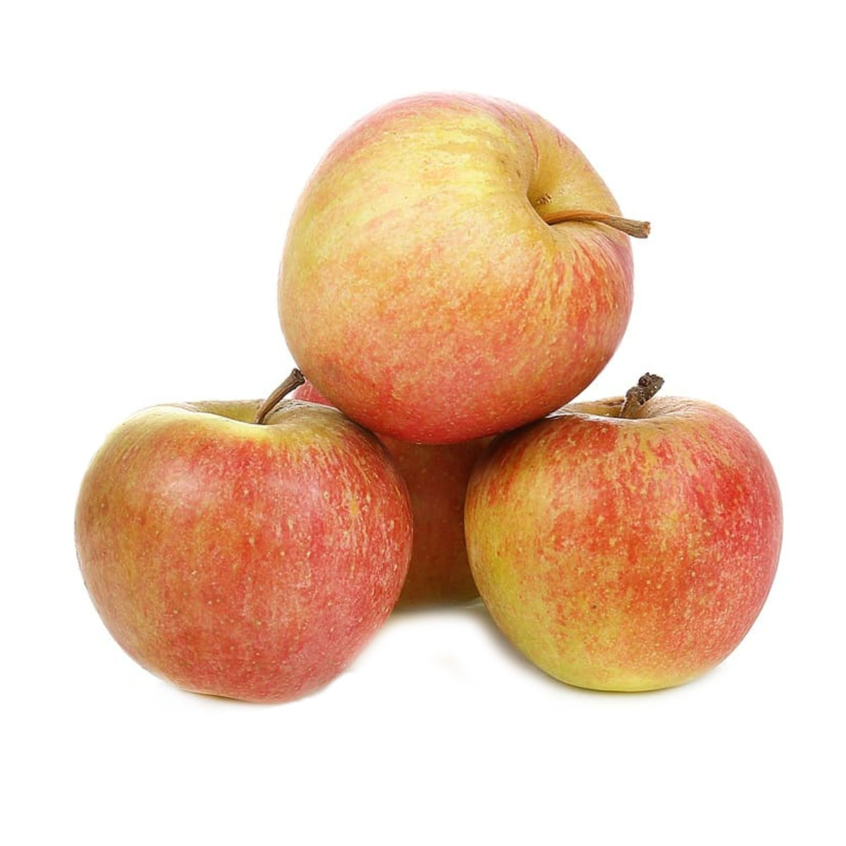 Сорт яблони Лигол