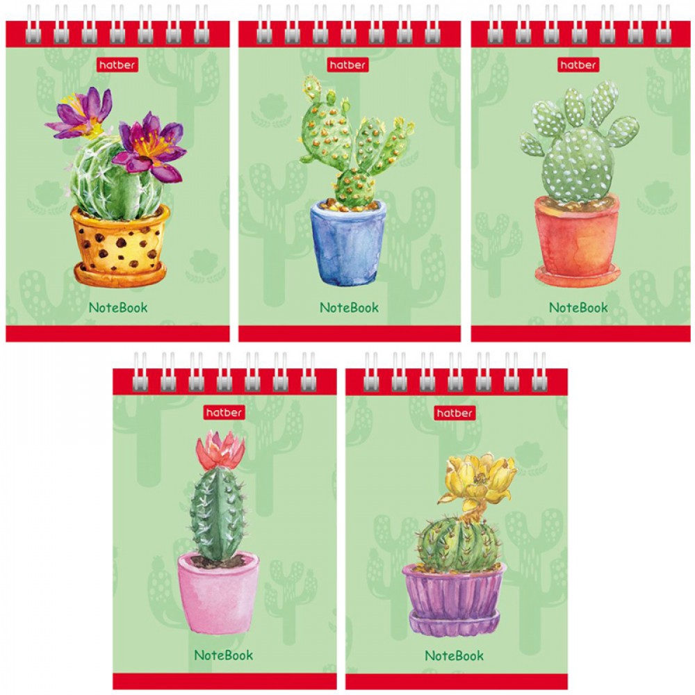 Блокнот ХАТБЕР Кактусы А7 40л арт.60Б5В