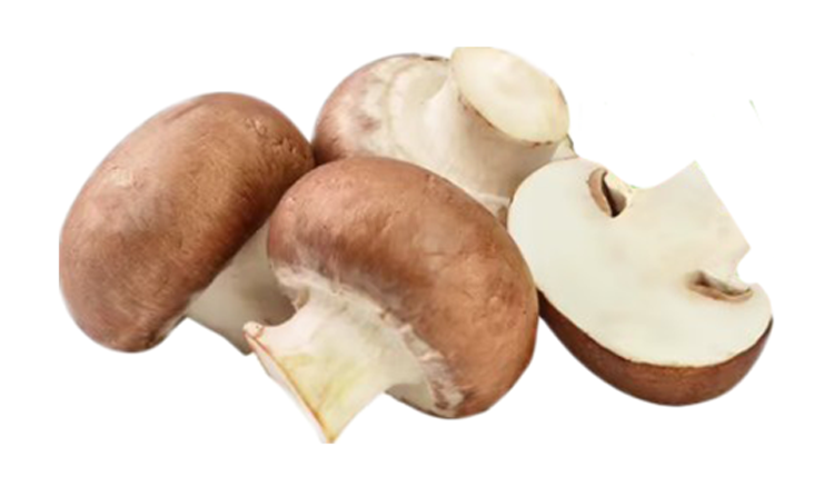 Грибы шампиньоны Королевские 300г