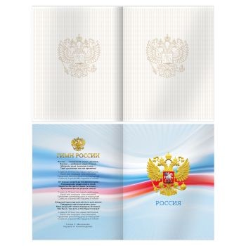 Дневник БИДЖИ Российского школьника 1-11 класс арт.Д5т40_лг 62159