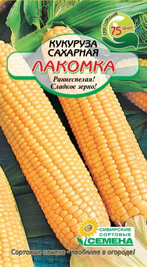 Семена ССС Кукуруза Лакомка сахарная 5г