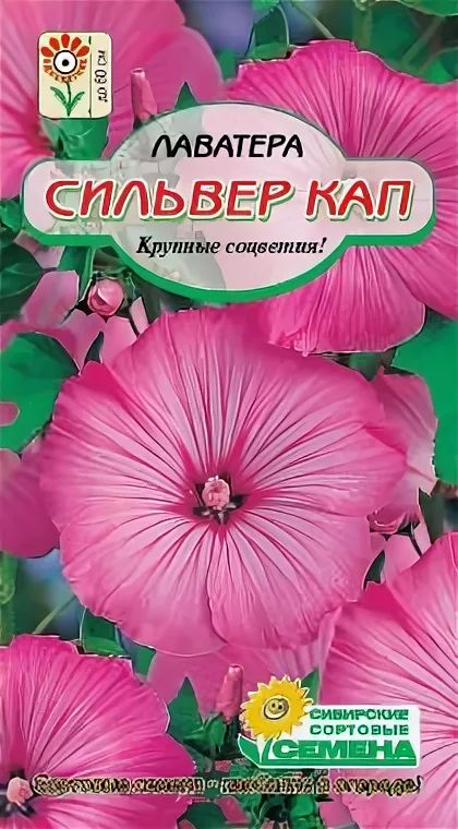Семена ССС Лаватера Сильвер Кап 2г