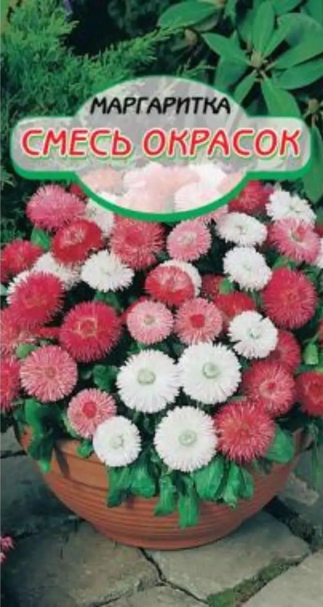 Семена ССС Маргаритка Смесь окрасок 5г