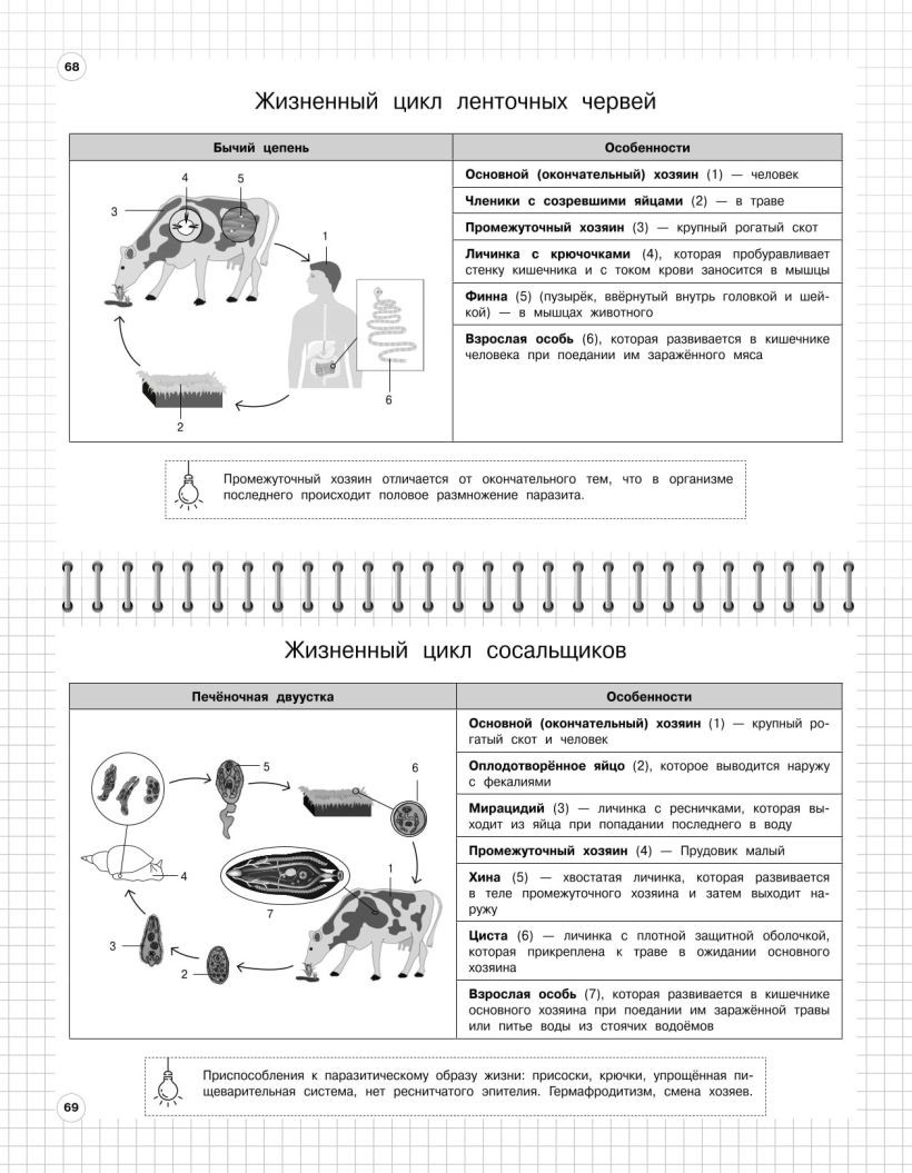 Книга ЭКСМО Биология 5-11 класс