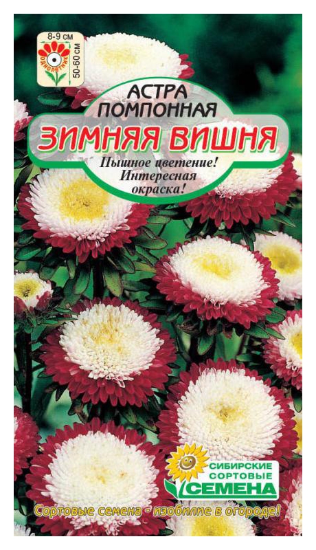 Семена ССС Астра Зимняя вишня помпонная 0.2г
