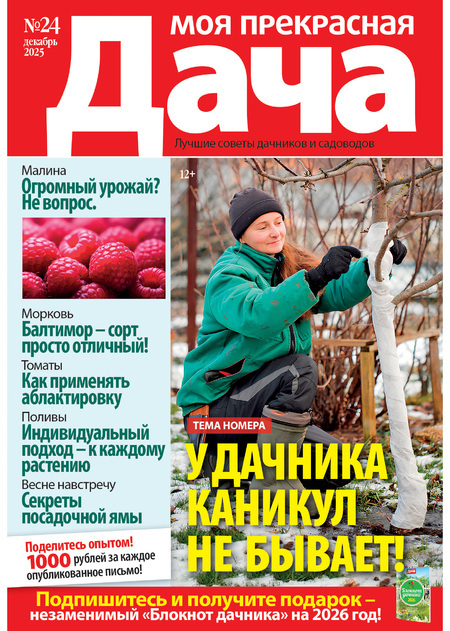 Журнал МОЯ ПРЕКРАСНАЯ ДАЧА