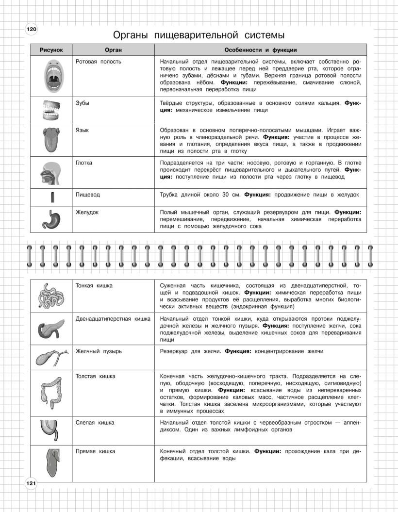 Книга ЭКСМО Биология 5-11 класс