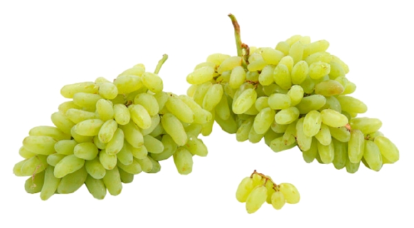 Виноград Дамские Пальчики 1кг