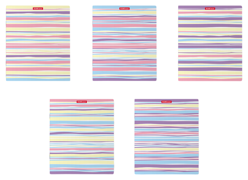 Тетрадь ЭРИХ КРАУЗЕ Линии клетка 48л арт.51400