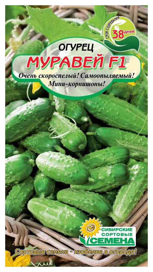 Семена ССС Огурец Муравей F1 7шт