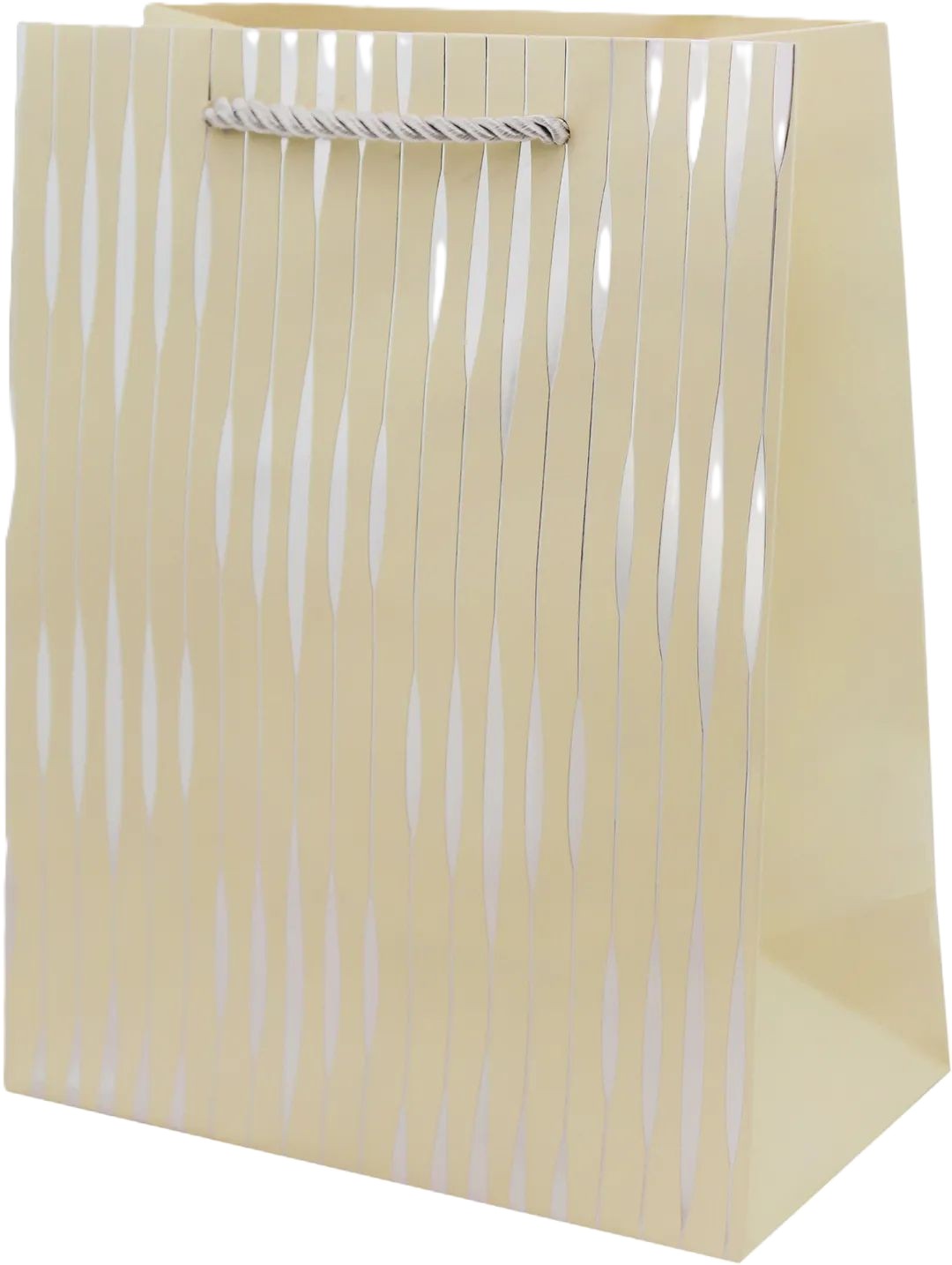 Пакет подарочный ТАМ-ТАМ Перламутр 18*10*23см арт.E0591AS