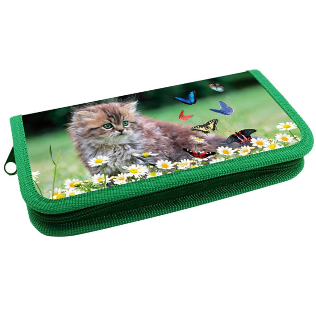 Пенал АВАНГАРД Котенок с бабочками арт.ПКК02-6