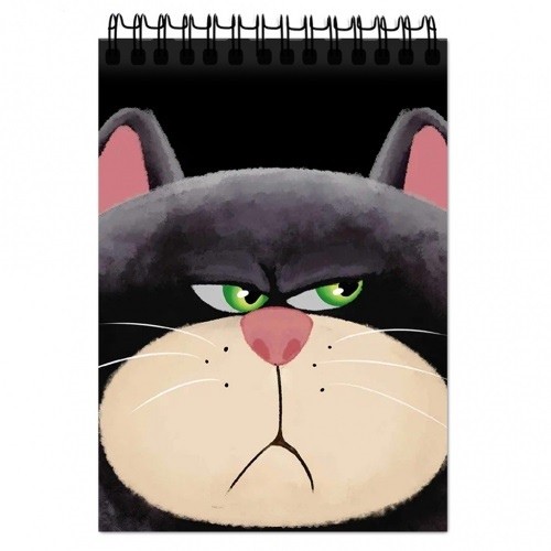 Блокнот ЦЕНТРУМ Недовольный кот 60л арт.77268