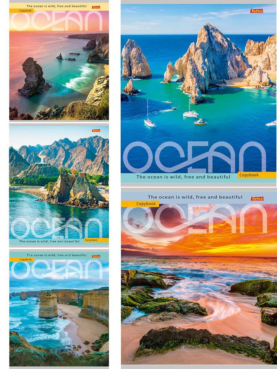 Тетрадь ПРОФ-ПРЕСС Прибрежные виды клетка 48л арт.48-5049