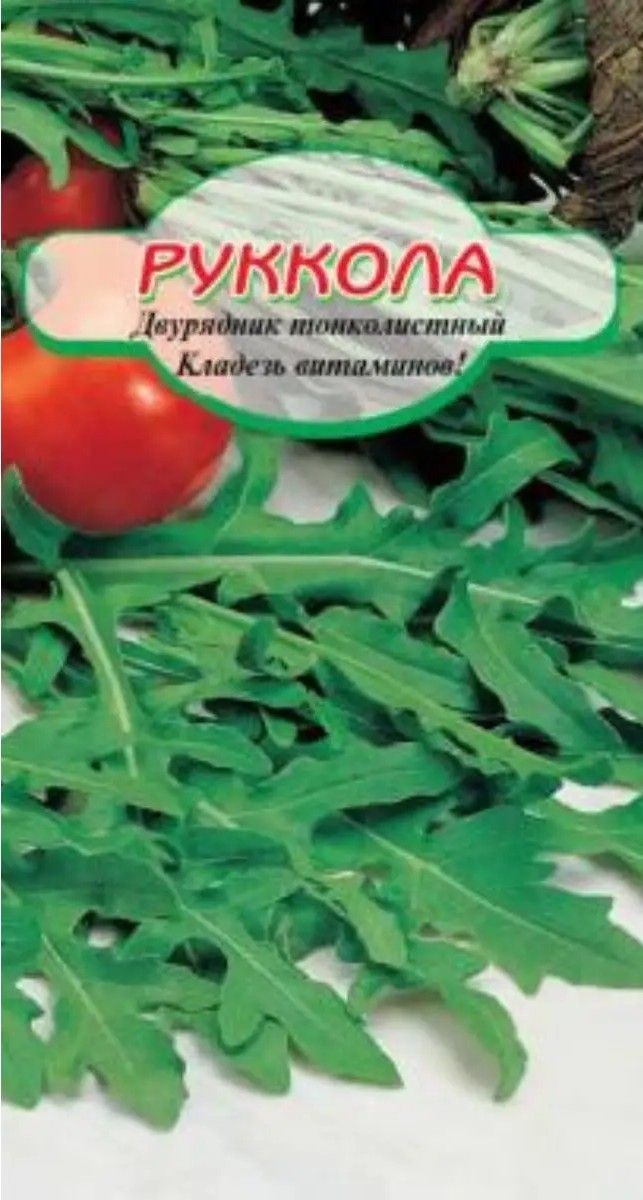 Семена ССС Салат Руккола 1г