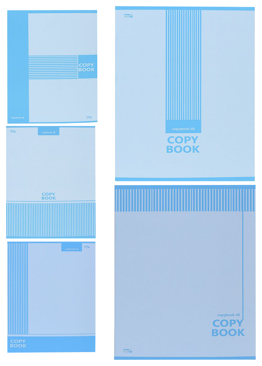 Тетрадь ПРОФ-ПРЕСС Классический стиль клетка 48л