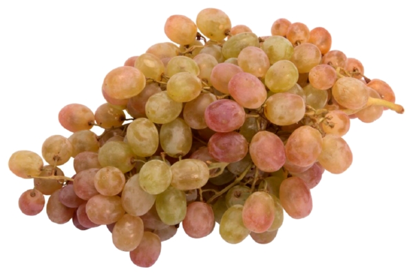 Виноград Тайфи 1кг