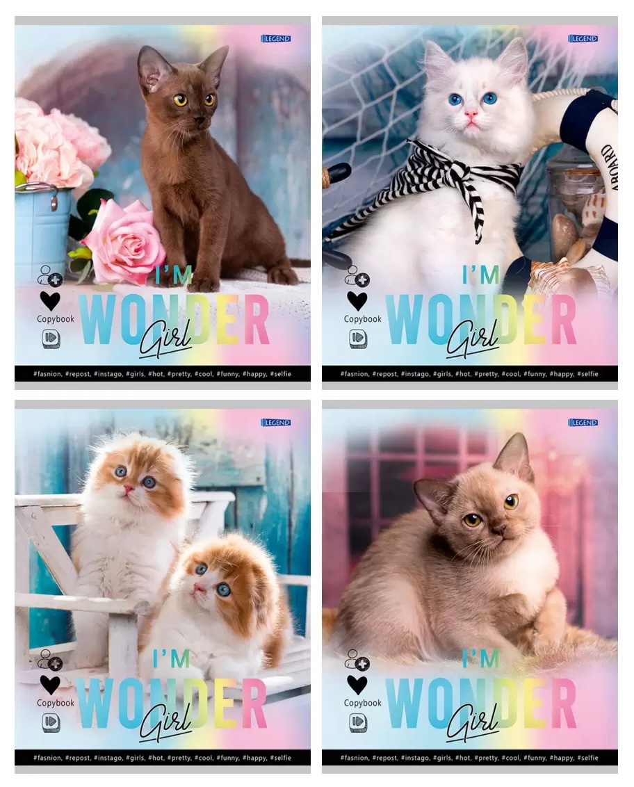 Тетрадь ПРОФ-ПРЕСС Очаровательные котики клетка 48л арт.Т48-4363