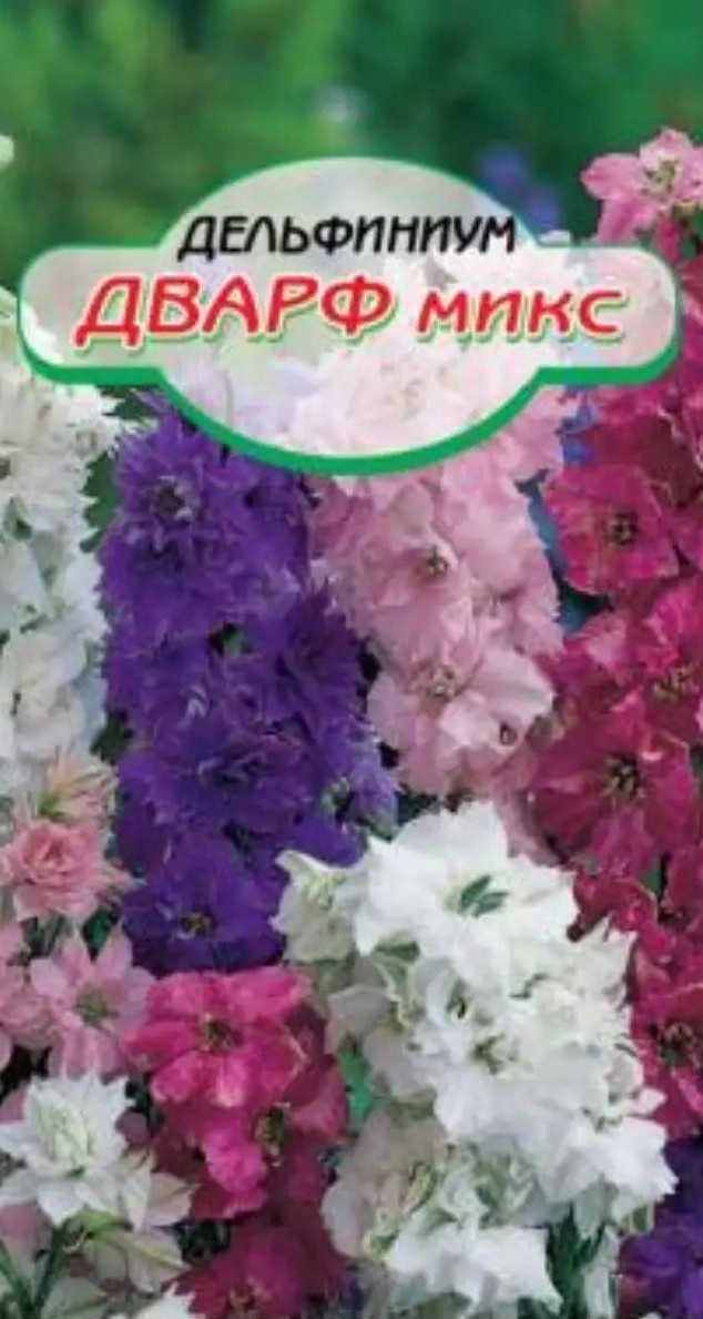 Семена ССС Дельфиниум Дварф смесь 1г