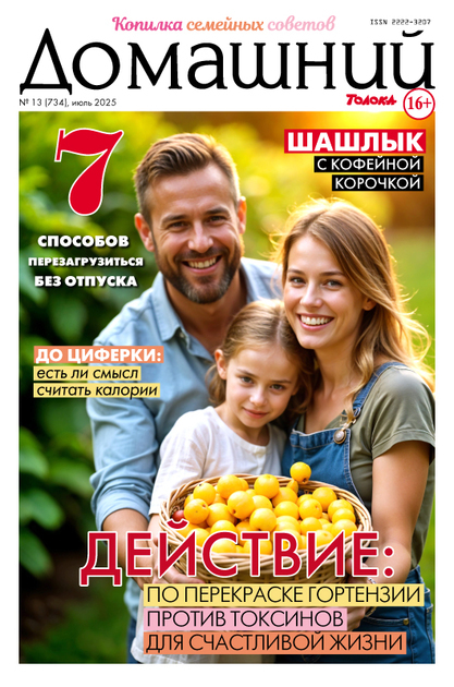 Журнал ДОМАШНИЙ