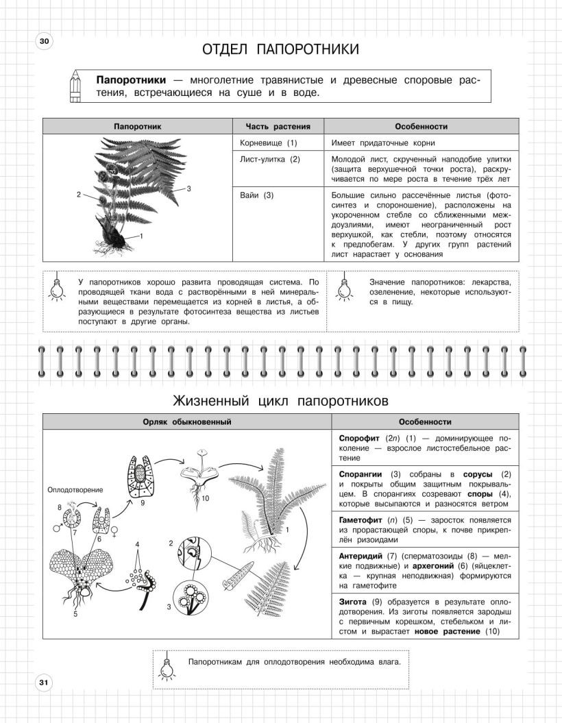 Книга ЭКСМО Биология 5-11 класс