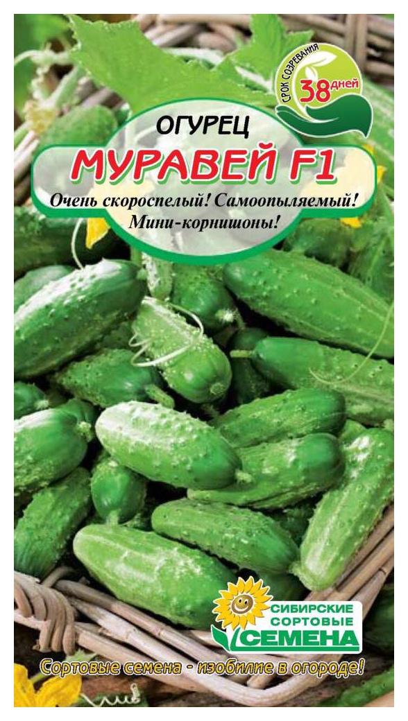 Семена ССС Огурец Муравей F1 7шт
