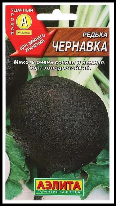 Семена АЭЛИТА Редька Чернавка 1г