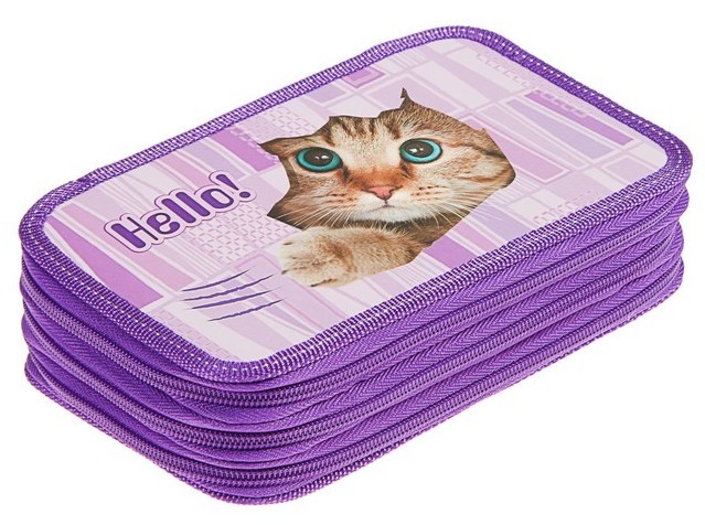 Пенал Кот шалун 20.5*11.5см арт.30П26_1106