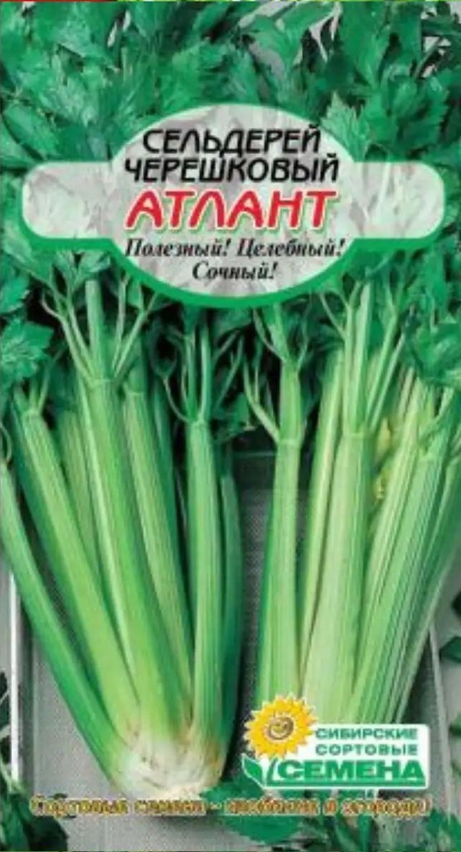 Семена ССС Сельдерей Атлант черешковый 0.5г