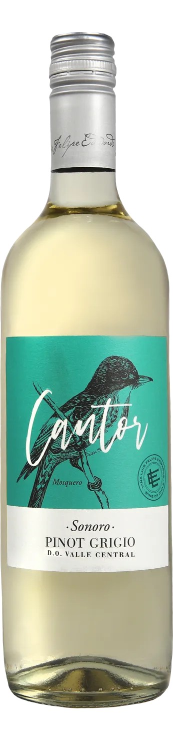 Вино КАНТОР СОНОРО Пино Гриджио белое сух 12.5% ст/ 0.75л