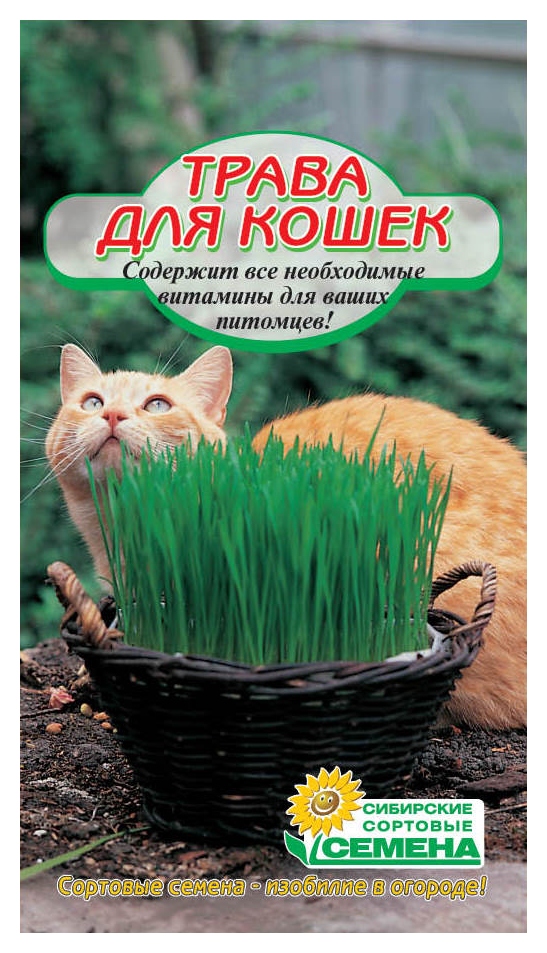 Семена ССС Трава для кошек 20г
