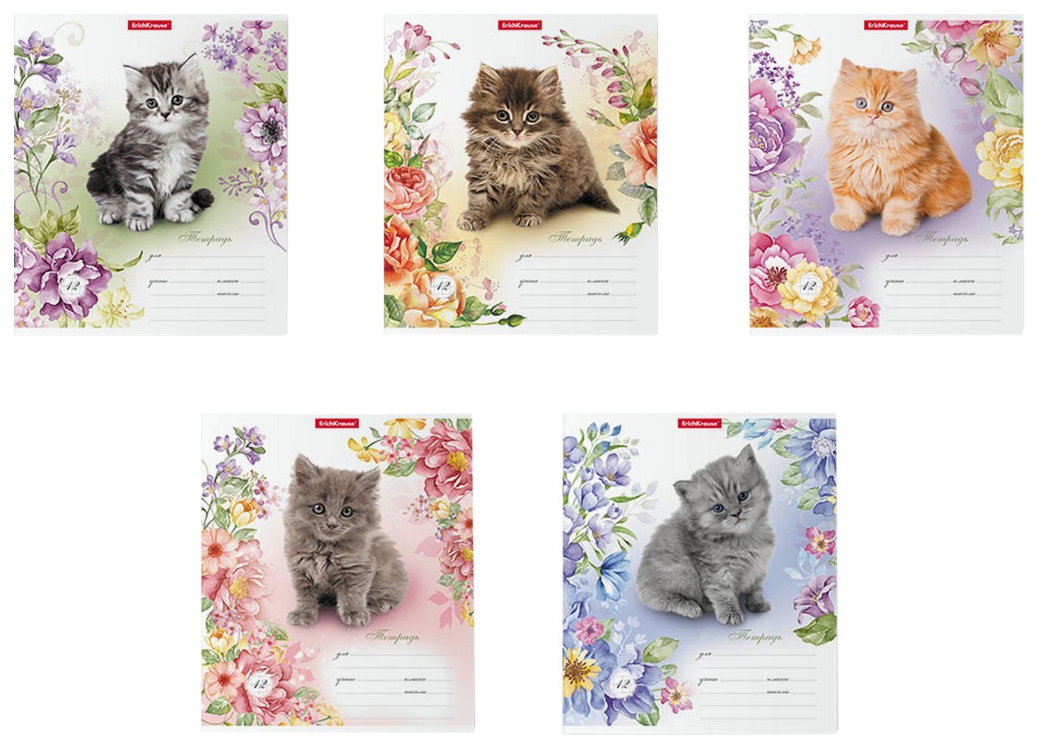 Тетрадь ЭРИХ КРАУЗЕ Мурзики клетка 12л арт.48820