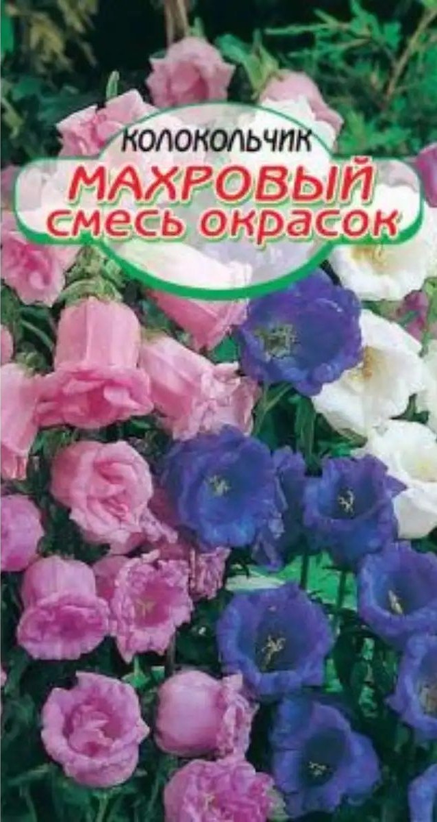 Семена ССС Колокольчик Махровый смесь окрасок 1г