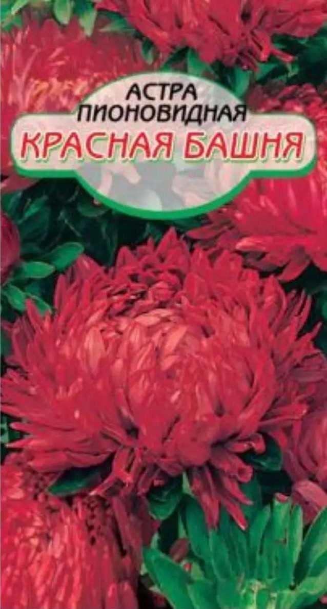 Семена ССС Астра Красная башня 2г