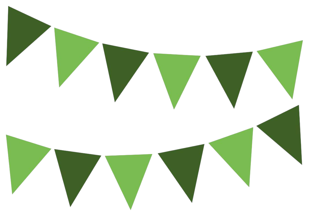 Гирлянда-вымпел СФЕРА 14 вымпелов зеленая арт.3-0444-12-13