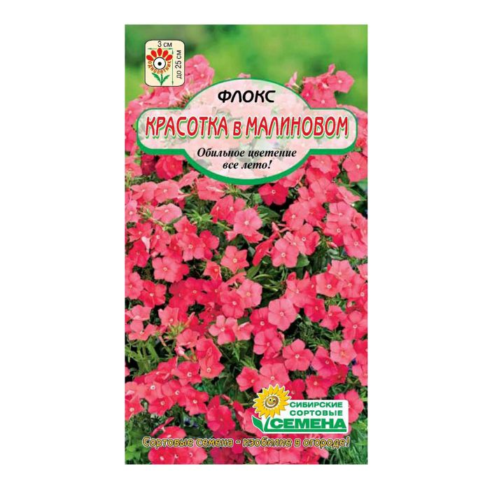 Семена ССС Флокс Красотка в малиновом 1г