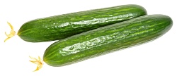 Огурец длинноплодный 1кг