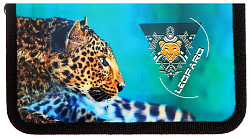 Пенал АВАНГАРД Леопард арт.ПКК03