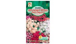 Семена ССС Флокс Мерцающая звезда 0.2г