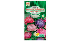 Семена ССС Астра Королевский размер 0.2г