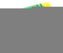 Губка хозяйственная ЧИСТЮЛЯ Макси 5шт