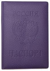 Обложка на паспорт СТРЕКОЗА в ассортименте