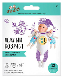 Набор стикеров СТИКЕР КЛИК Нежный возвраст арт.960054