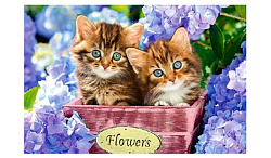 Алмазная мозаика Котята 10*15см арт.ТКир25167