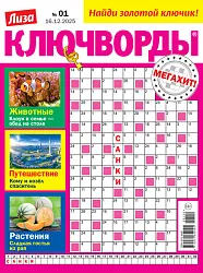 Журнал ЛИЗА Ключворды