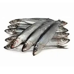 Мойва ДИАФ с/м 800г