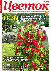 Журнал ТОЛОКА Цветок