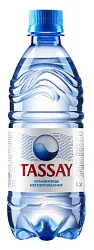 Вода питьевая ТАССАЙ 1кат негазированная пэт 0.5л