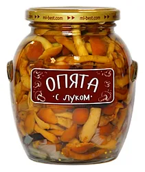 Опята МЕДВЕДЬ ЛЮБИМЫЙ маринованные с луком ст/б 314мл