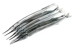 Сарган неразделанный с/м в/у 1кг